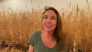 Que devient Jacques Hyver ? Le parcours d’un aventurier criminel oublié aline le bail kremer