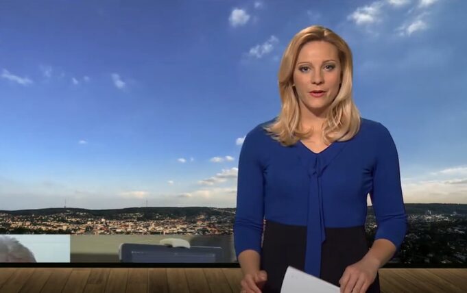 Wie viele Kinder hat Jana Kübel? Alles über Familie & Leben der Moderatorin wie viele kinder hat jana kübel