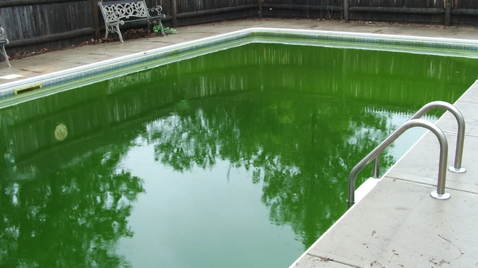Poolwasser grün Hausmittel: So wird Ihr Pool schnell wieder glasklar und sauber poolwasser grün hausmittel